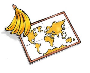 qualità banane equosolidali